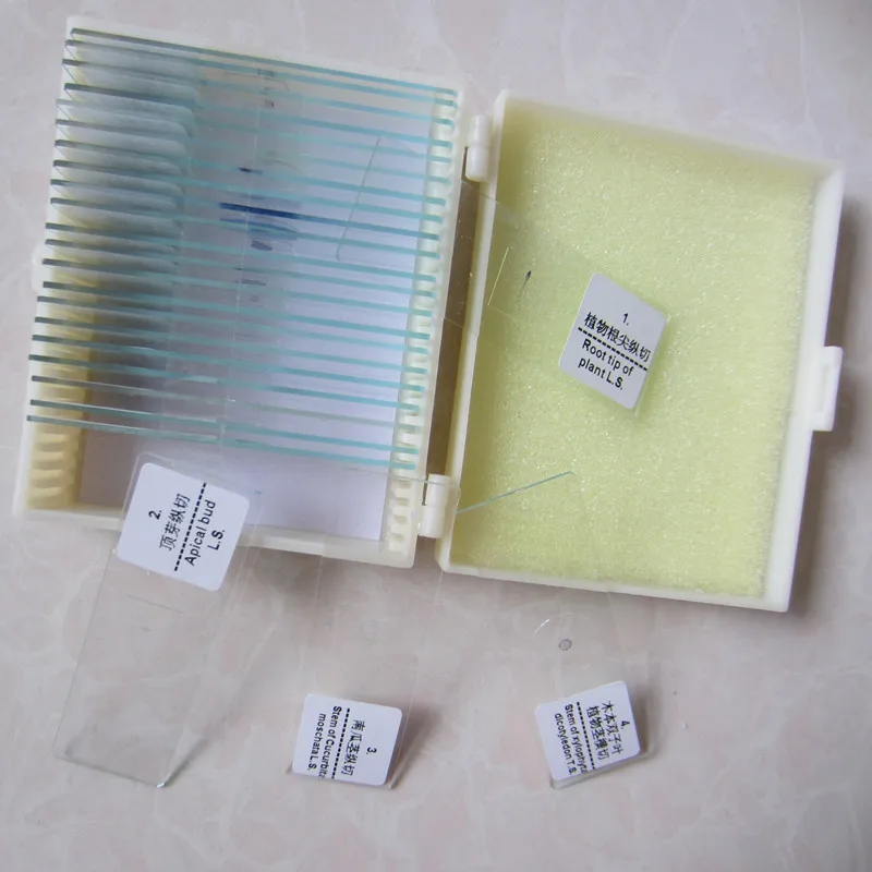 2020 25pcs School Laboratory Chemistry Experiment Professional Optical Glass Lab microscope specimen Bio-microscope Slides
2020 25pcs School Laboratory Chemistry Experiment Professional Optical Glass Lab microscope specimen Bio-microscope Slides