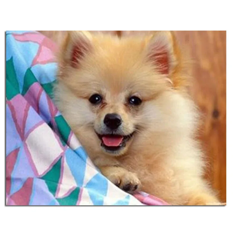 Naughty DogNew Full Area Highlight Diamond Needlework Diy Diamond Painting Kit Diamond Cross Stitch Embroidery
Naughty DogNew Full Area Highlight Diamond Needlework Diy Diamond Painting Kit Diamond Cross Stitch Embroidery
