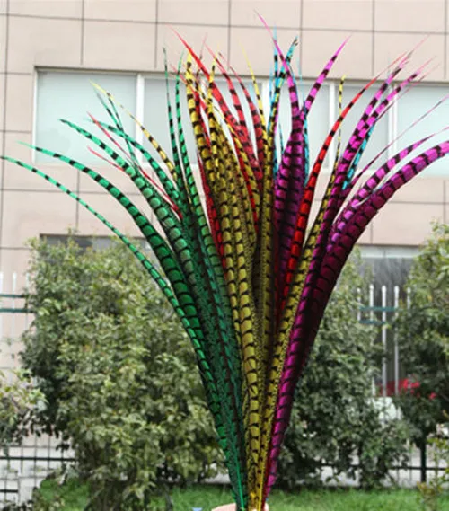 50pcs 36-40 inche/90-100cm Lady Amherst Pheasant Tail Feathers pheasant feathers for carnival party costumes cosplay decoration
50pcs 36-40 inche/90-100cm Lady Amherst Pheasant Tail Feathers pheasant feathers for carnival party costumes cosplay decoration