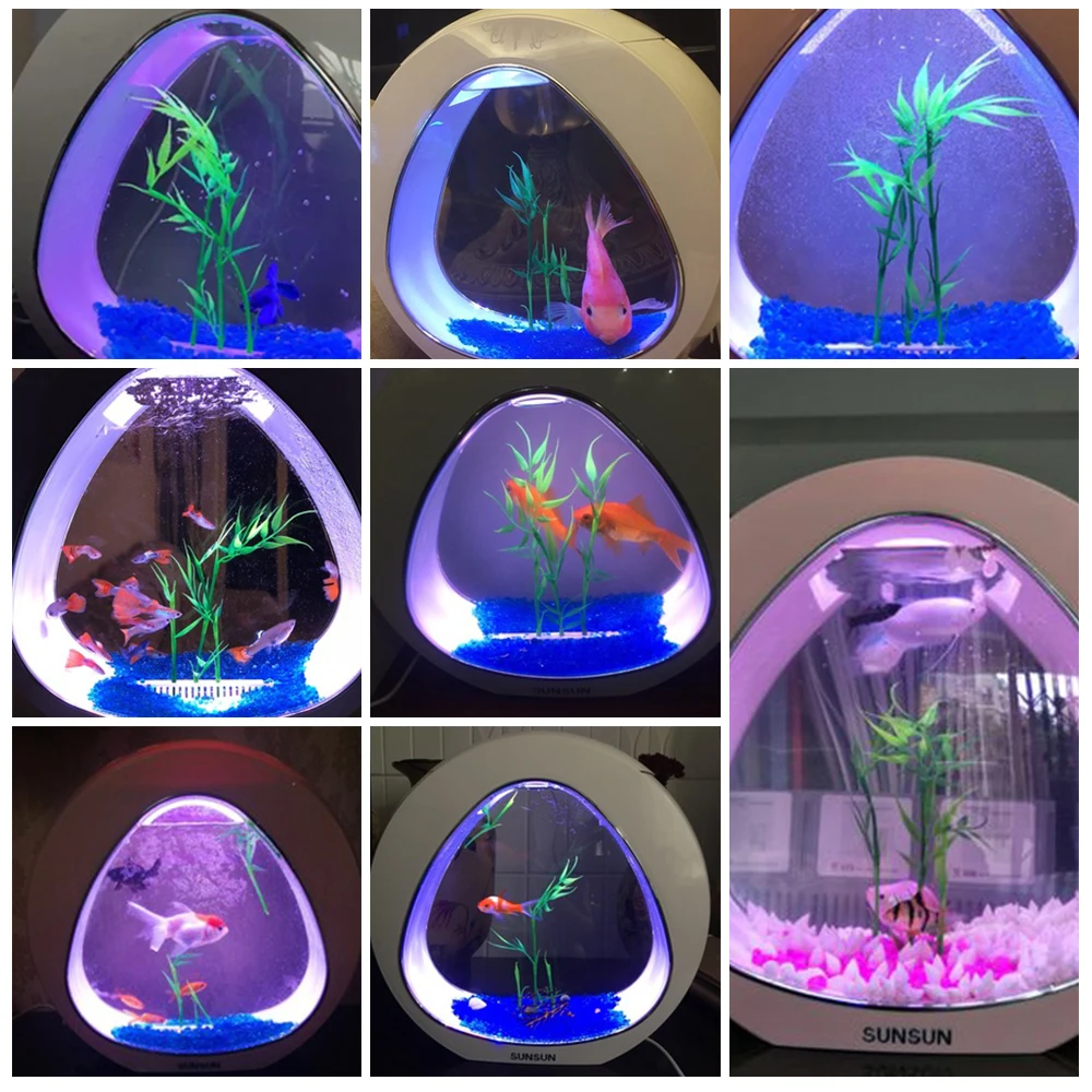 Colorful Mini Ecology Fish Tank Integration Filter Mini Nano Tank Office Coffee Table Aquarium 4L Home Decorations LED System
Colorful Mini Ecology Fish Tank Integration Filter Mini Nano Tank Office Coffee Table Aquarium 4L Home Decorations LED System