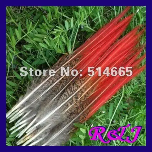 Wholesale pheasant tail feather 50PCS 15-20cm 6-8" pheasant feathers Free Shipping
Wholesale pheasant tail feather 50PCS 15-20cm 6-8" pheasant feathers Free Shipping