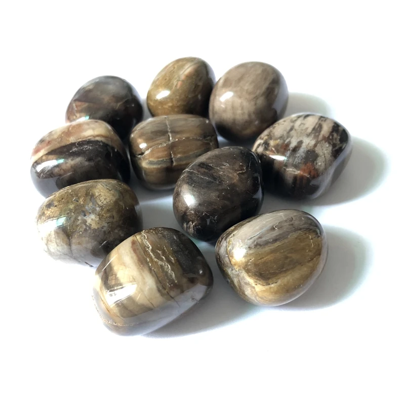 Grade A Petrified Wood Fossill Beads Crystal Tumble Stone App1" Natural Gift Healing Crystals Stone 10pcs/lot
Grade A Petrified Wood Fossill Beads Crystal Tumble Stone App1" Natural Gift Healing Crystals Stone 10pcs/lot