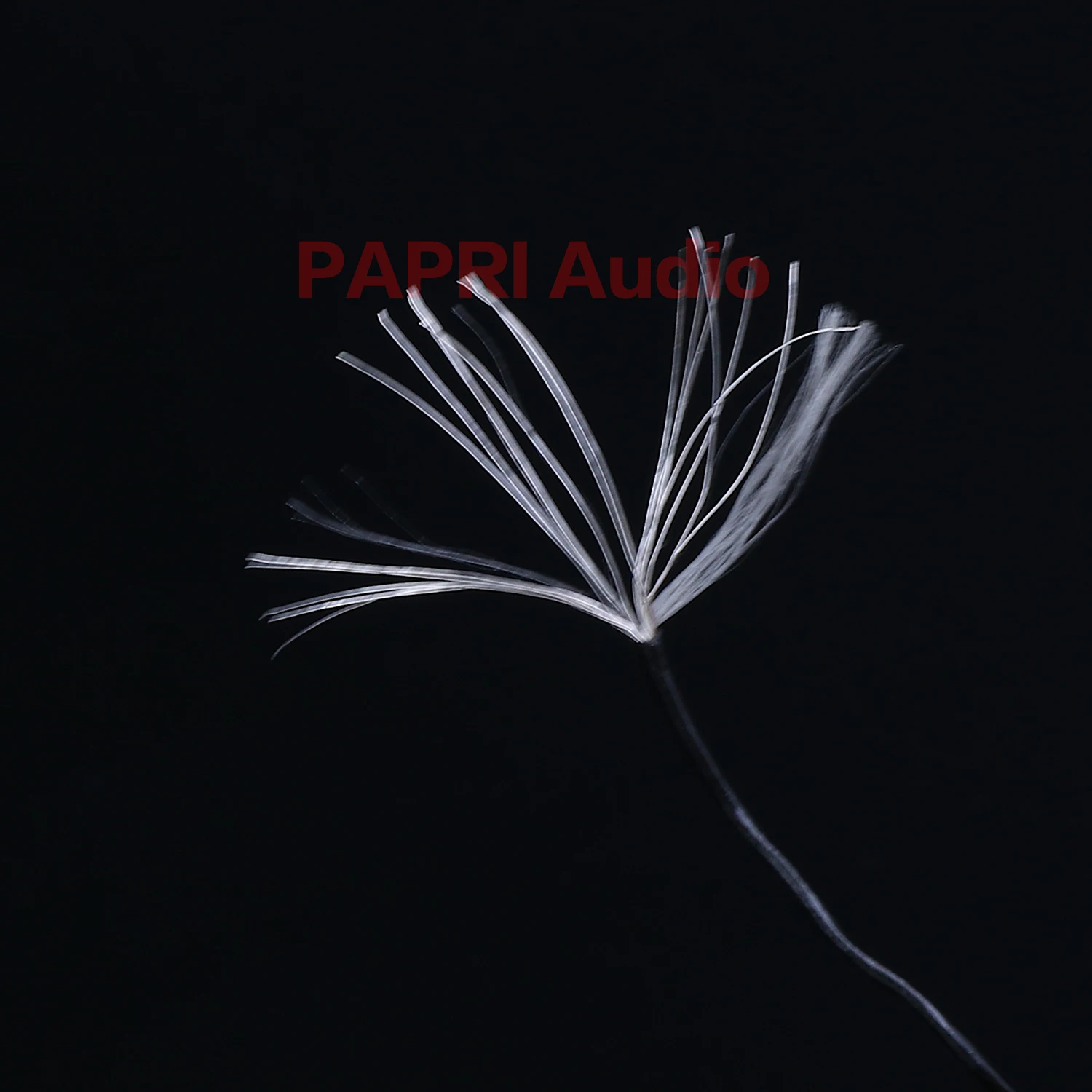 PAPRI 3.28ft/1M 8cores PVC 5N OCC Copper Silver Plated Upgrade Headphone Cable Audio Line AUX DIY Earphone Cables Wire
PAPRI 3.28ft/1M 8cores PVC 5N OCC Copper Silver Plated Upgrade Headphone Cable Audio Line AUX DIY Earphone Cables Wire