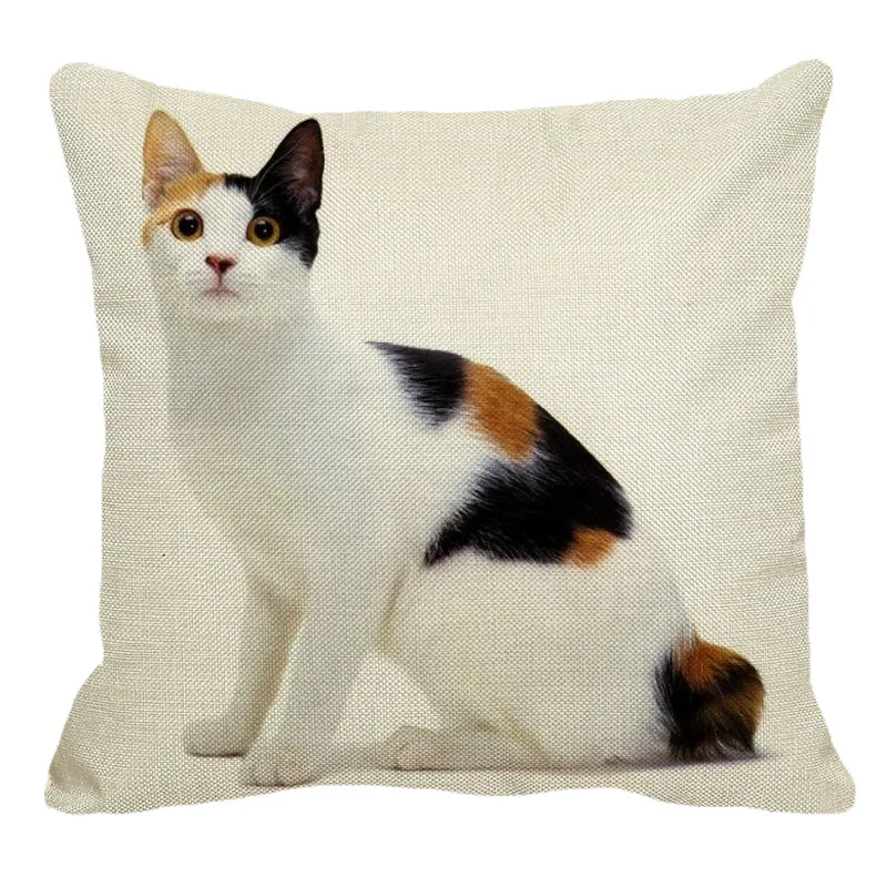 XUNYU 45cmx45m pet Japanese short-tailed cat pillowcase new cotton and linen comfortable home car decoration pillowcase YH028
XUNYU 45cmx45m pet Japanese short-tailed cat pillowcase new cotton and linen comfortable home car decoration pillowcase YH028