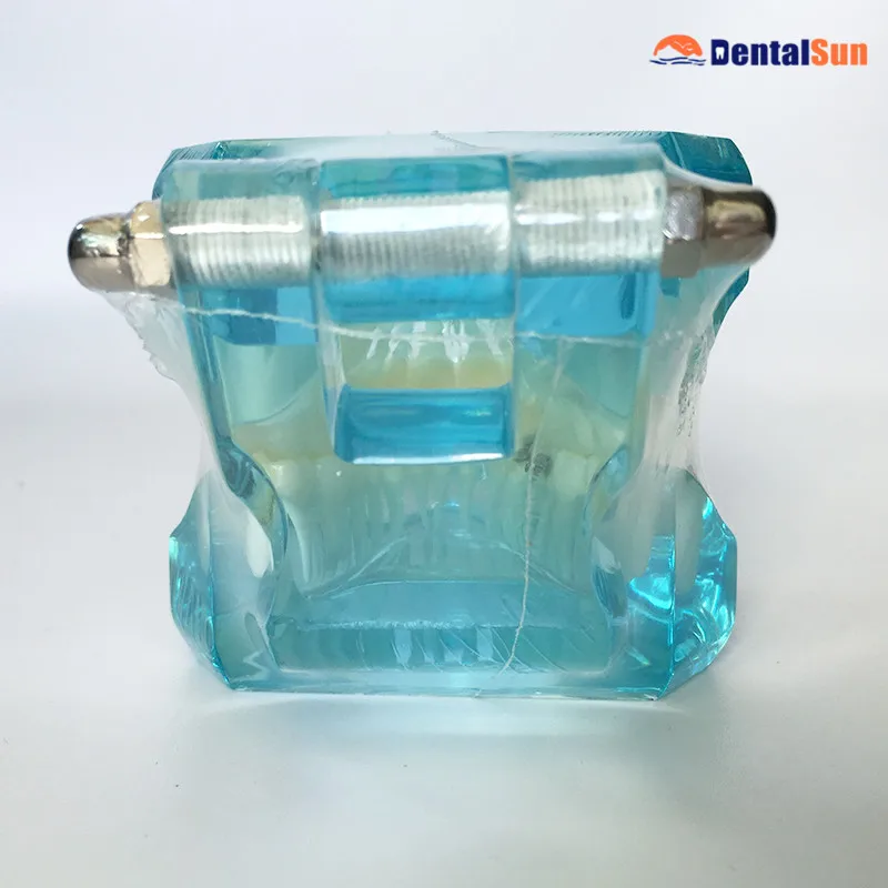 Dental Orthodontic Demonstration Teeth Model with Ceramic Brackets and Metal Brackets M3003
Dental Orthodontic Demonstration Teeth Model with Ceramic Brackets and Metal Brackets M3003