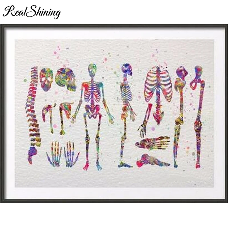 5d Diamond Embroidery Diy Diamond Human Body skeletal system Cross Stitch Mosaic Painting Rhinestones Home Accessories FS5091
5d Diamond Embroidery Diy Diamond Human Body skeletal system Cross Stitch Mosaic Painting Rhinestones Home Accessories FS5091