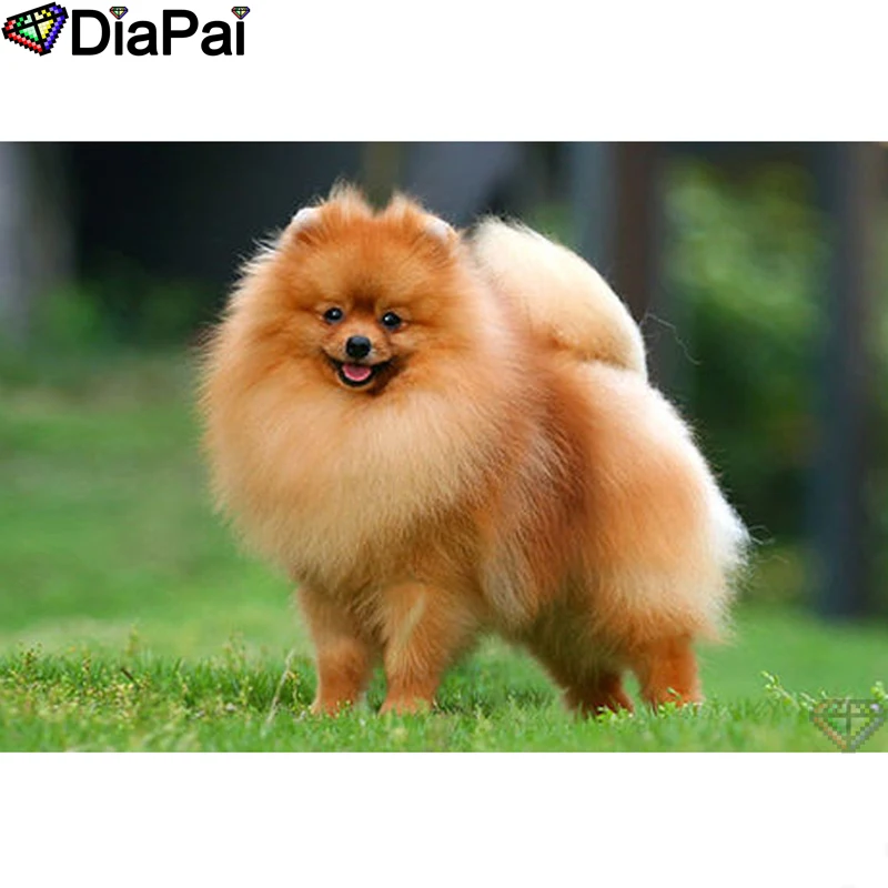 DIAPAI 5D DIY Diamond Painting 100% Full Square/Round Drill "Animal dog" Diamond Embroidery Cross Stitch 3D Decor A22149
DIAPAI 5D DIY Diamond Painting 100% Full Square/Round Drill "Animal dog" Diamond Embroidery Cross Stitch 3D Decor A22149