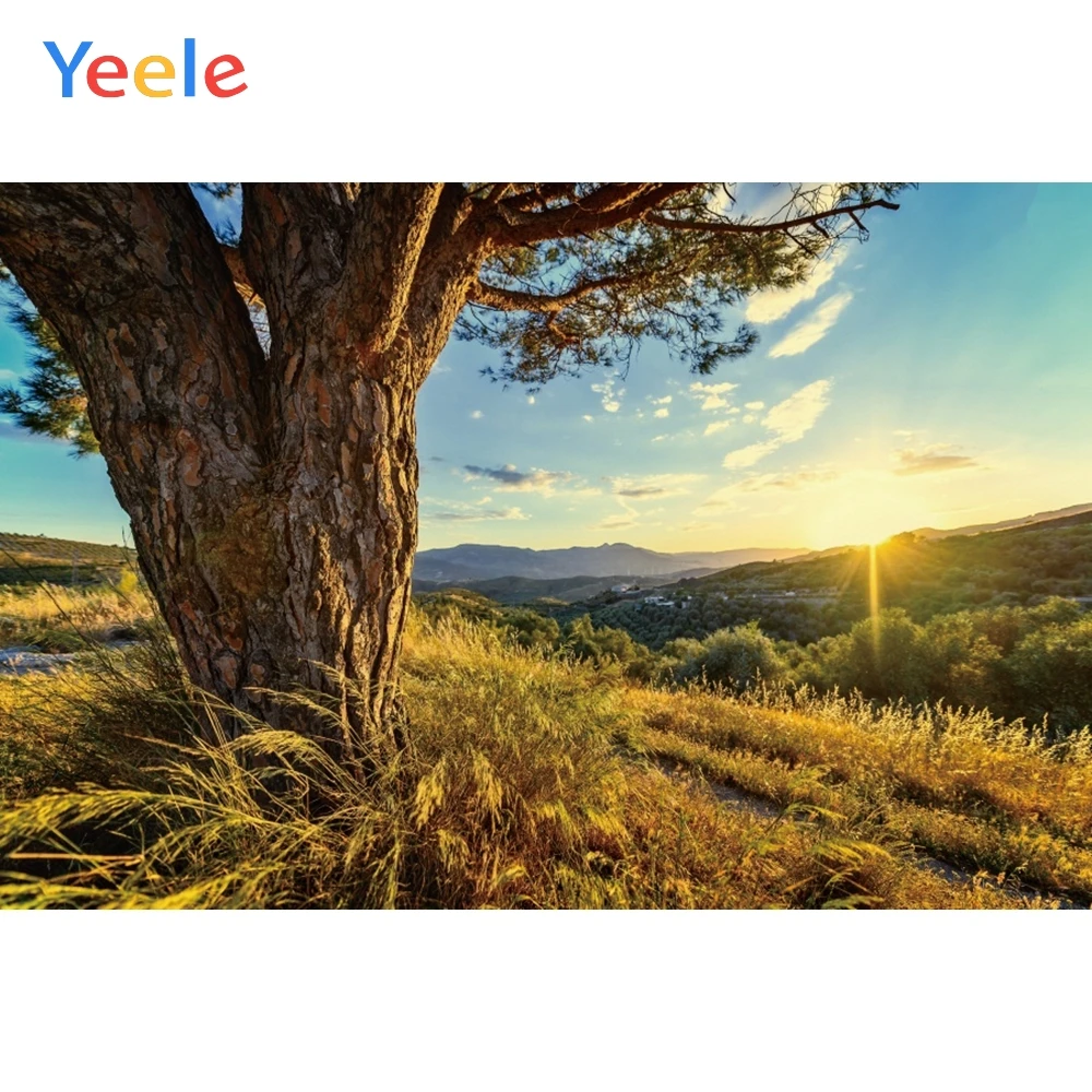 Yeele Landscape Photocall Big Trees Mount Sunrise Photography Backdrop Personalized Photographic Backgrounds For Photo Studio
Yeele Landscape Photocall Big Trees Mount Sunrise Photography Backdrop Personalized Photographic Backgrounds For Photo Studio