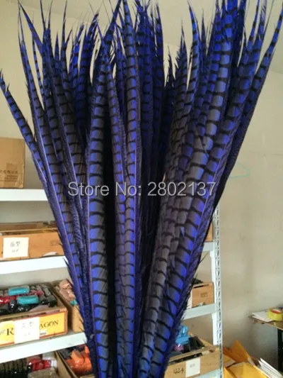 50pcs 36-40 inche/90-100cm Lady Amherst Royal blue Pheasant Tail Feathers pheasant feathers for carnival party decoration
50pcs 36-40 inche/90-100cm Lady Amherst Royal blue Pheasant Tail Feathers pheasant feathers for carnival party decoration