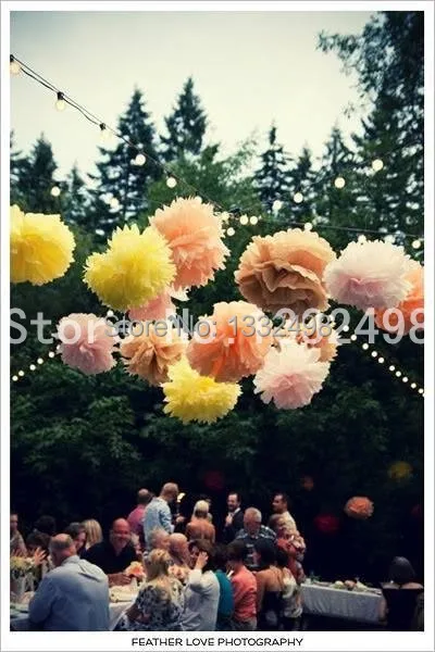 300pcs/lot 8" (20CM) Tissue Paper Pom Poms / Paper Flowers/ Wedding Decoration/Artificial flowers/Party Decoration/3DWall Decor
300pcs/lot 8" (20CM) Tissue Paper Pom Poms / Paper Flowers/ Wedding Decoration/Artificial flowers/Party Decoration/3DWall Decor