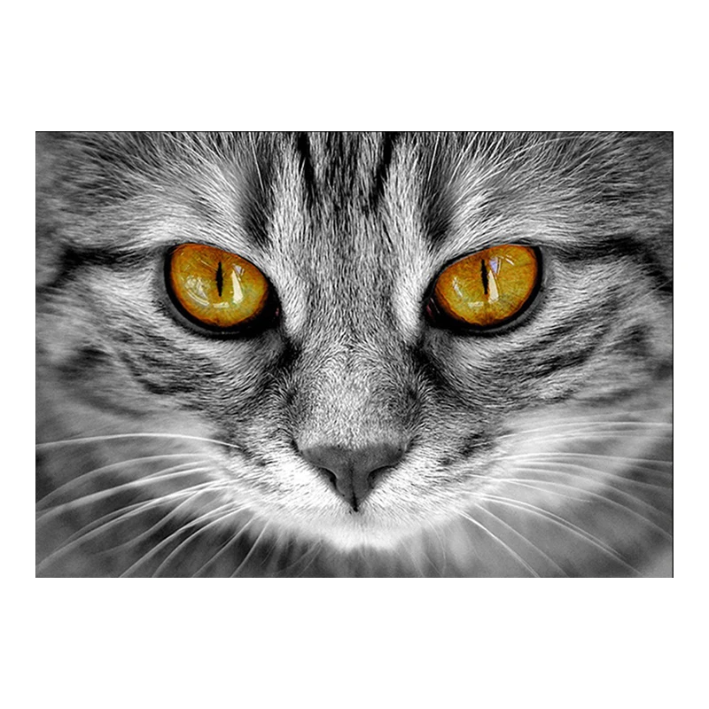 5D DIY Алмазная картина король Кот Алмазная Вышивка Полный Вышивка крестом Стразы мозаика домашний декор ручной работы подарок
5D DIY Алмазная картина король Кот Алмазная Вышивка Полный Вышивка крестом Стразы мозаика домашний декор ручной работы подарок