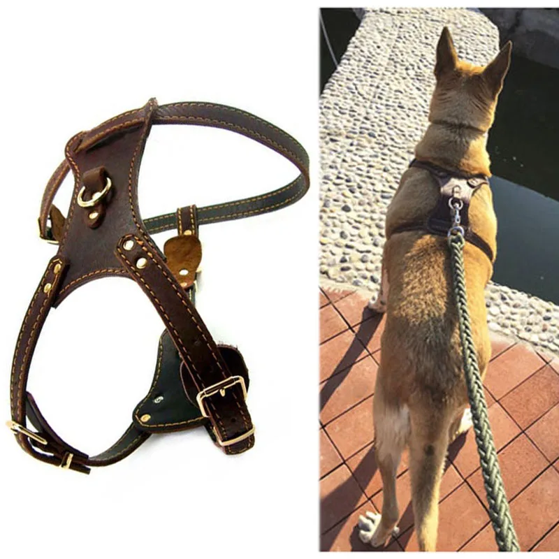 Жгут для собак из натуральной кожи, прочная утолщенная жилетка для больших собак
Жгут для собак из натуральной кожи, прочная утолщенная жилетка для больших собак