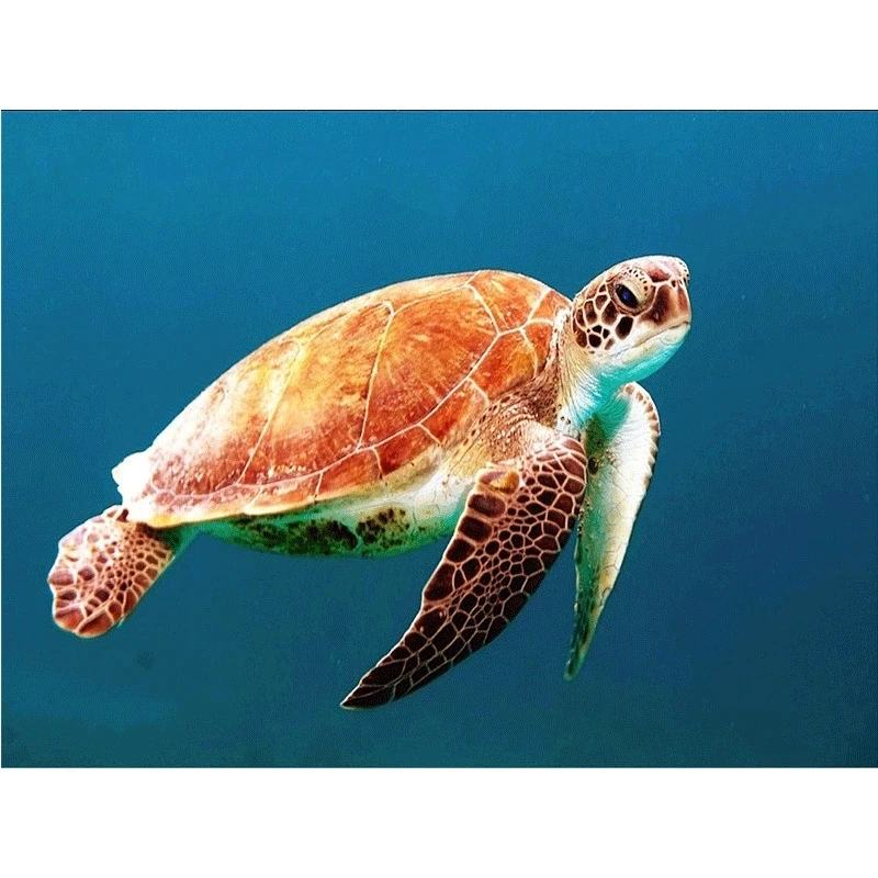 Полноразмерная/круглая 5D алмазная живопись «сделай сам», вышивка крестиком, «Одна черепаха», стразы декоративная мозаичная картина
Полноразмерная/круглая 5D алмазная живопись «сделай сам», вышивка крестиком, «Одна черепаха», стразы декоративная мозаичная картина