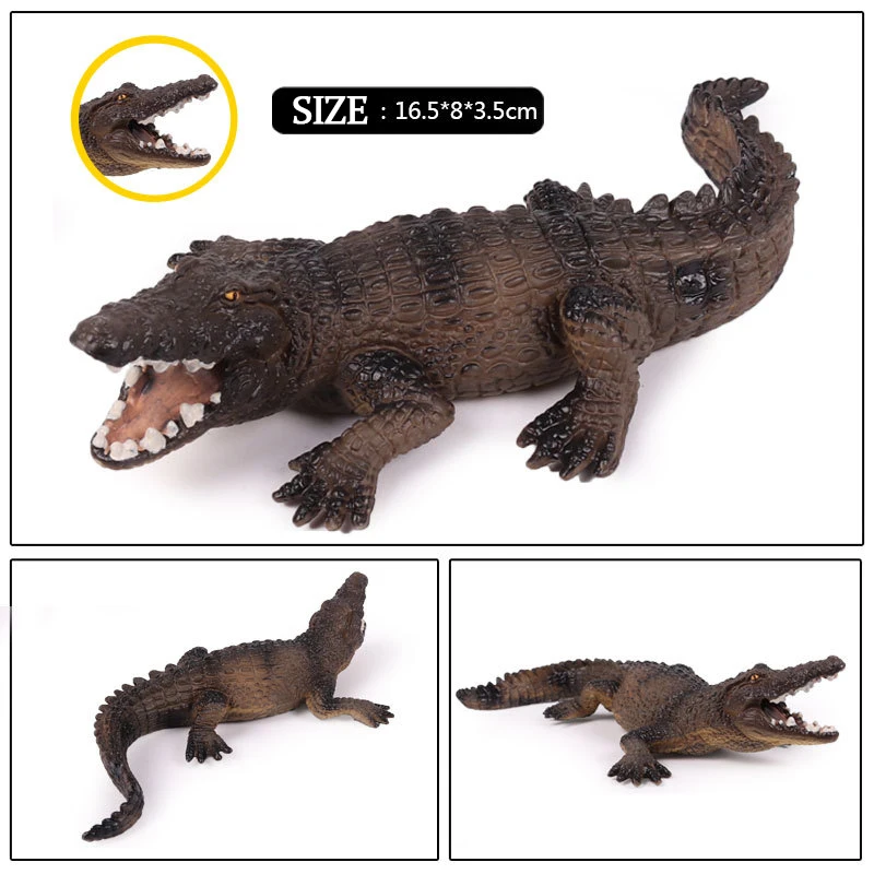 Action&Toys Figure Wildlife Animal Chinese Crocodile PVC Model Collectible Doll Figure Collection For Kid Children's Gift
Action&Toys Figure Wildlife Animal Chinese Crocodile PVC Model Collectible Doll Figure Collection For Kid Children's Gift