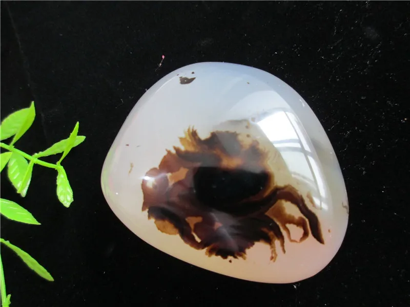 Natural Polished Aquatic Plants Agate Crystal Madagascar crystal stone specimens for Mineral samples
Natural Polished Aquatic Plants Agate Crystal Madagascar crystal stone specimens for Mineral samples