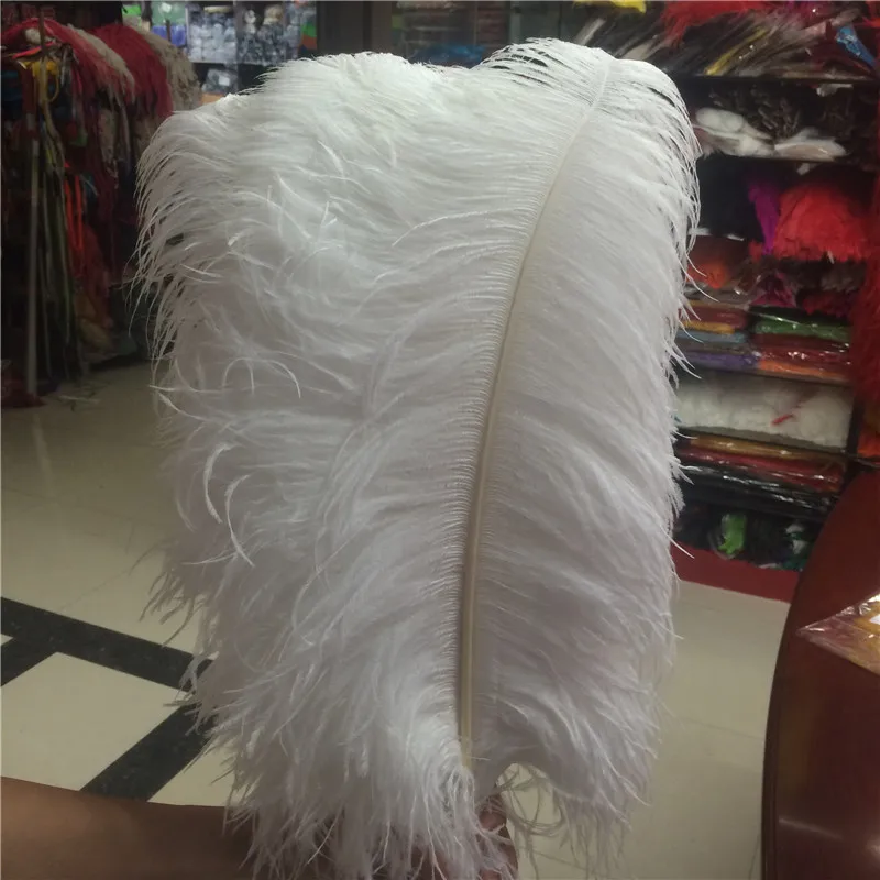 Wholesale Cheap 500Pcs/Lot natural White Ostrich Feathers Hard rod 15-75CM Hotel Party Wedding Decorations Jewelry plumes
Wholesale Cheap 500Pcs/Lot natural White Ostrich Feathers Hard rod 15-75CM Hotel Party Wedding Decorations Jewelry plumes
