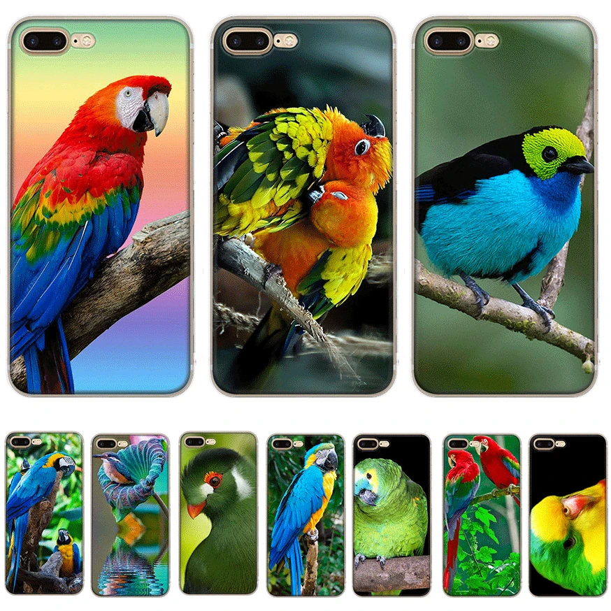 Чехол для телефона iPhone 11 Pro 6 6s 7 8 Plus 5 5S X XS XR Max животное птица попугай cockatoos |