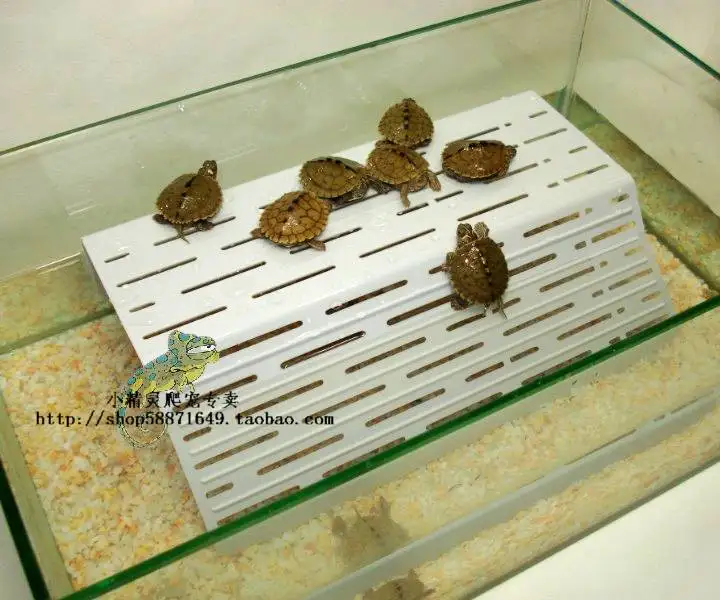 28 CM Transparent acrylic terrace Reptiles Terrarium turtle floating Backing plate - shaped island climb Aquarium decor
28 CM Transparent acrylic terrace Reptiles Terrarium turtle floating Backing plate - shaped island climb Aquarium decor