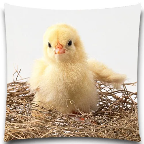 Cute yellow Chick Comfortable Back Throw Home Pillow Case Cotton polyester sofa Square 16" 18" 20"
Cute yellow Chick Comfortable Back Throw Home Pillow Case Cotton polyester sofa Square 16" 18" 20"