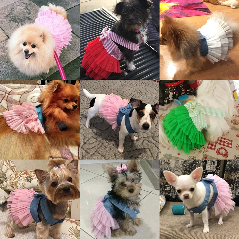 Spring Summer Dog Dress Pet Dog Clothes For Small Dog Wedding Dress Skirt Puppy Clothing Chihuahua Yorkie Princess Dog Dresses
Spring Summer Dog Dress Pet Dog Clothes For Small Dog Wedding Dress Skirt Puppy Clothing Chihuahua Yorkie Princess Dog Dresses