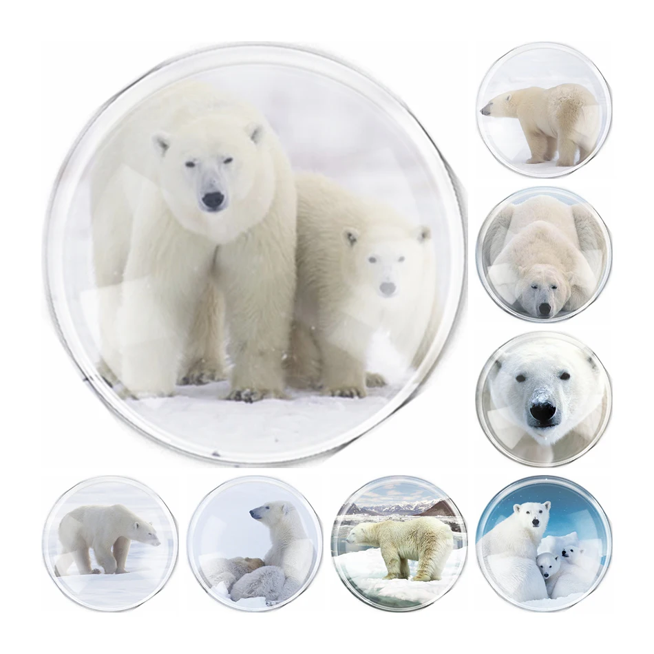 New Handmade 6 Size Glass Cute Polar bear Flatback Camo Cabochon Domed DIY Jewelry Charm Photo Pendant Setting
New Handmade 6 Size Glass Cute Polar bear Flatback Camo Cabochon Domed DIY Jewelry Charm Photo Pendant Setting