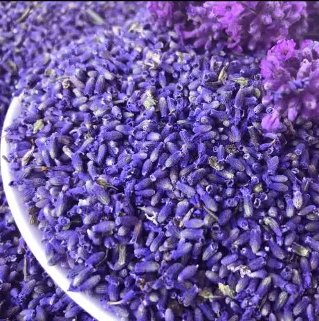 5A Natural Flower organic natural dried lavender flower buds for Extractable essential oil hydrosol
5A Natural Flower organic natural dried lavender flower buds for Extractable essential oil hydrosol