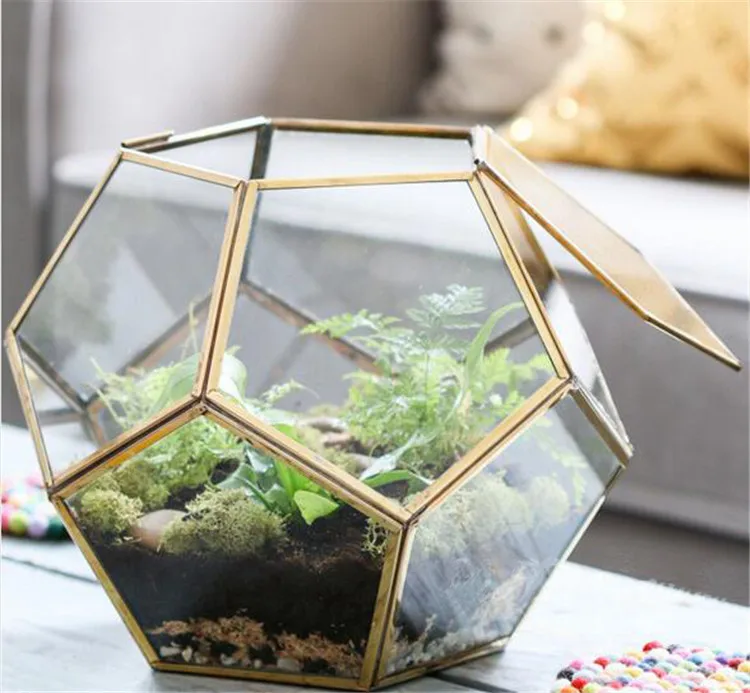 Table Dodecahedron Glass Terrariums - Soldered Glass Planter Bottle Geometric Garden Terrariums for Plants/Succulents/Flowers
Table Dodecahedron Glass Terrariums - Soldered Glass Planter Bottle Geometric Garden Terrariums for Plants/Succulents/Flowers