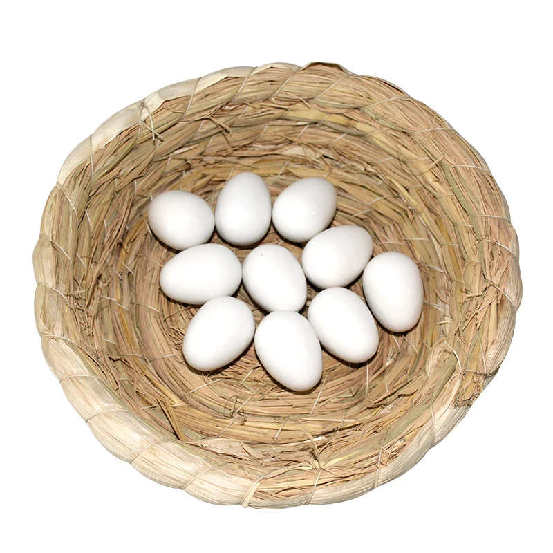 50 Pcs Products Simulation Bird Eggs Fake Pigeon Egg Aviculture Tools Plastic Nest Hatching Eggs
50 Pcs Products Simulation Bird Eggs Fake Pigeon Egg Aviculture Tools Plastic Nest Hatching Eggs
