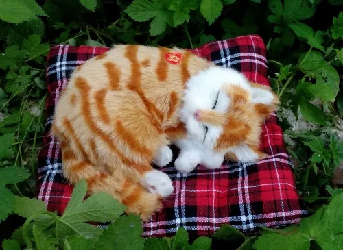 simulation cute mat cat 14x15x5cm toy model polyethylene&furs sounds miaow cat model home decoration props ,model gift d245
simulation cute mat cat 14x15x5cm toy model polyethylene&furs sounds miaow cat model home decoration props ,model gift d245
