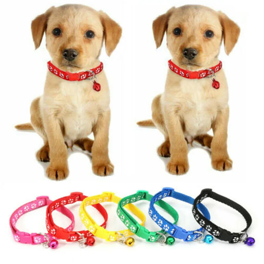 2019 Brand New Style 12Pcs/set Colours Dog Puppy Kitten Newborn Welping ID Bands Collars Set Necklace
2019 Brand New Style 12Pcs/set Colours Dog Puppy Kitten Newborn Welping ID Bands Collars Set Necklace