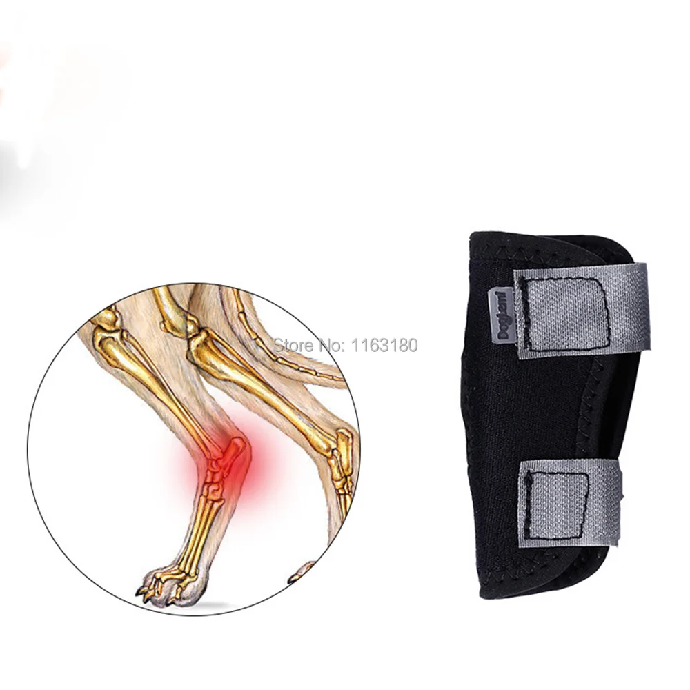 10pcs/lot Pet Knee Pad Injury Protector Dog Puppy Support Brace for Leg Hock Joint Wound Wrap Anti Lick Recover Anti Twist Fixed
10pcs/lot Pet Knee Pad Injury Protector Dog Puppy Support Brace for Leg Hock Joint Wound Wrap Anti Lick Recover Anti Twist Fixed