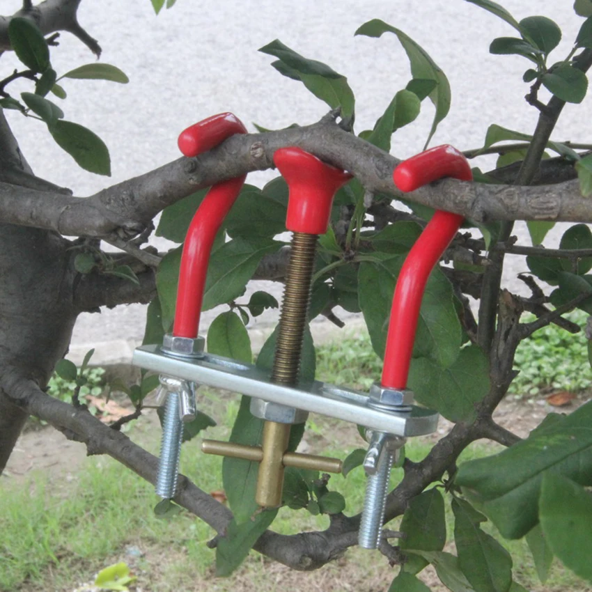 

Bonsai Tools The Trees Branch Modulator Trunk Lopper Regulator Repair Grafting Knife Tool Garden Pruner Shears DIY Modeling Tool