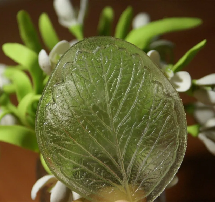 DIY Variety of Leaf Polymer Clay Mold / Impression Fmo Tool Crafts Handmade 7.5CM*6.5CM
DIY Variety of Leaf Polymer Clay Mold / Impression Fmo Tool Crafts Handmade 7.5CM*6.5CM