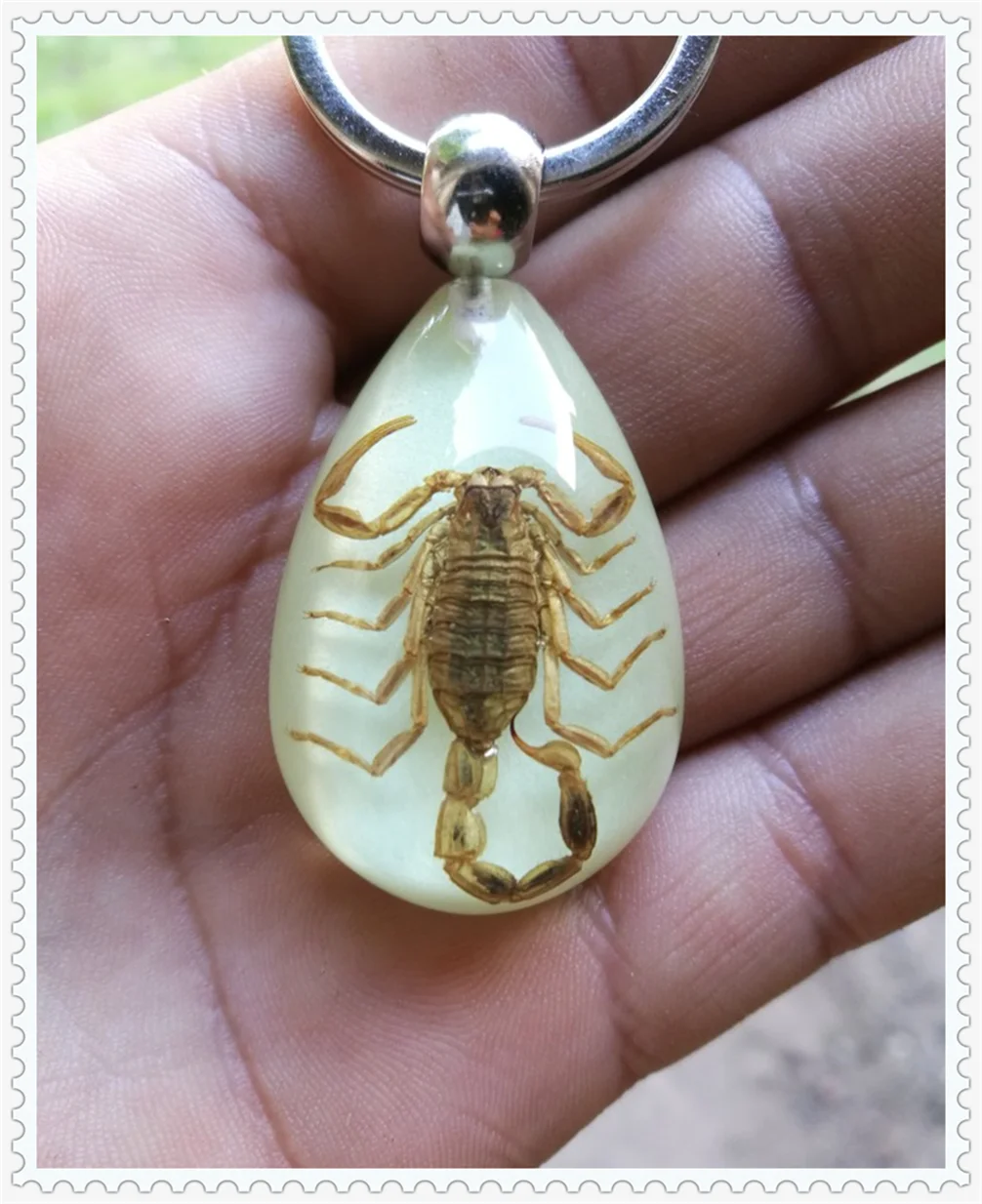Car motorcycle light insect keychain scorpion key ring for Audi I Ah Ah A8 A3 A4 A6 A5 Q7 R A3 3-Door
Car motorcycle light insect keychain scorpion key ring for Audi I Ah Ah A8 A3 A4 A6 A5 Q7 R A3 3-Door
