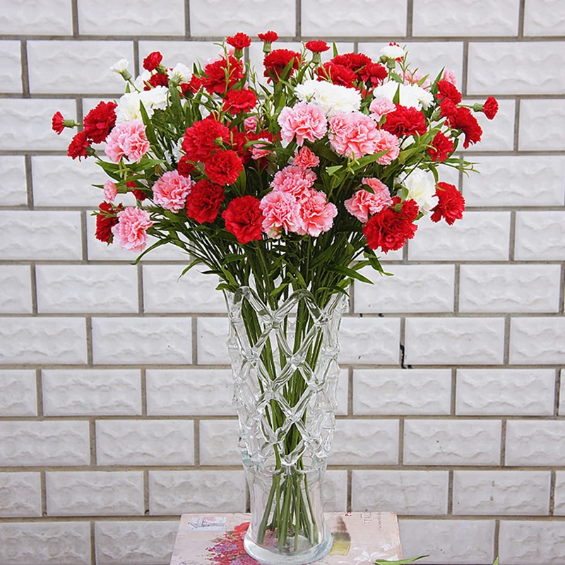 6 Head Artificial Carnation Flower Bouquet Simulation Small Carnation Fake Silk Flower Branch Home Decor Floral Festival Gift
6 Head Artificial Carnation Flower Bouquet Simulation Small Carnation Fake Silk Flower Branch Home Decor Floral Festival Gift
