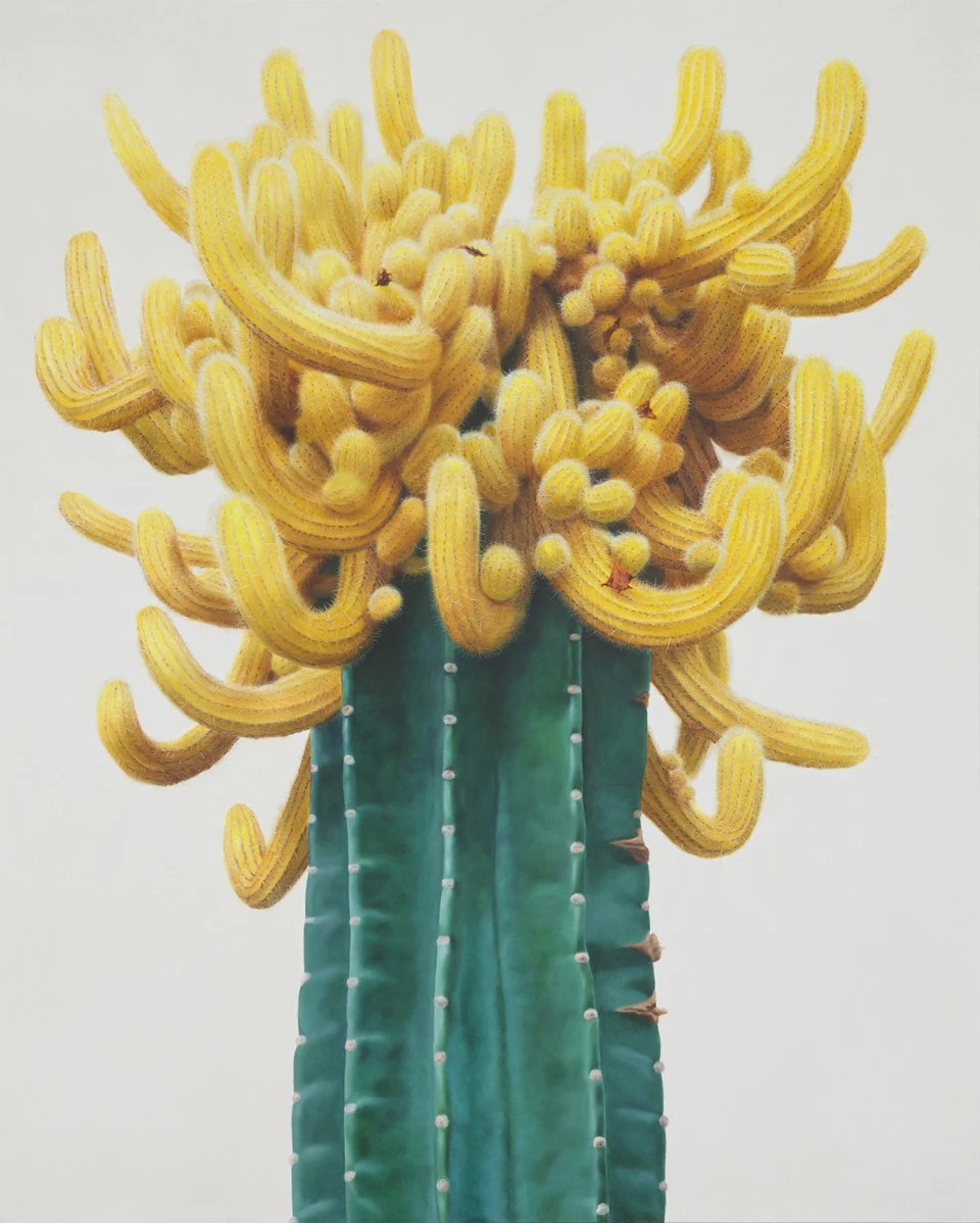 Flower And Cactus Nordic Canvas Painting Colorful Desert Plant Art Poster Print Wall Picture Home Living Room Mural Decoration
Flower And Cactus Nordic Canvas Painting Colorful Desert Plant Art Poster Print Wall Picture Home Living Room Mural Decoration