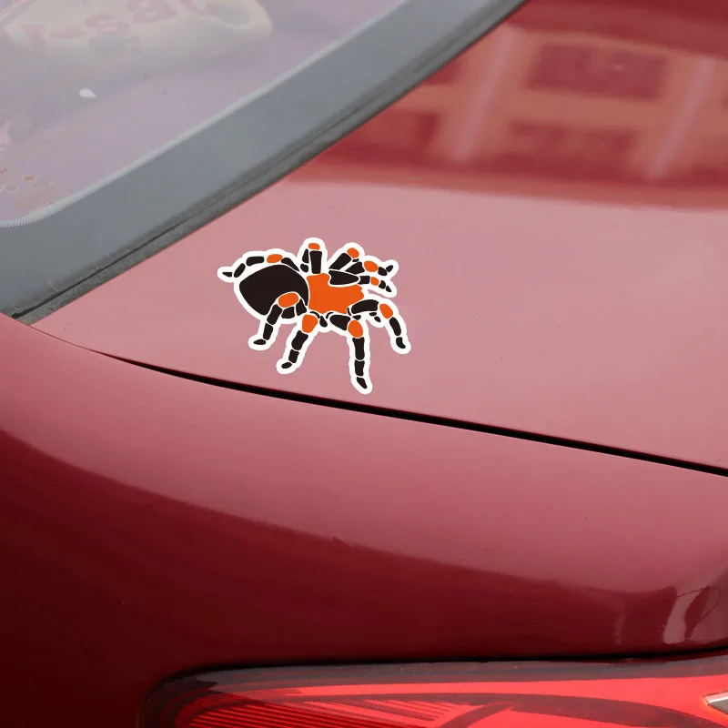 YJZT 11.9*8.1CM Cartoon Spider Decor Car Stickers Colored Bumper Car Window Decals 11A0590
YJZT 11.9*8.1CM Cartoon Spider Decor Car Stickers Colored Bumper Car Window Decals 11A0590