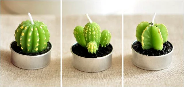 50pcs/lot Factory Directly Sale Wedding Favor Candle Favors Cacti Succulents Candle Pot Candles Simulation Potted Candles 1pc
50pcs/lot Factory Directly Sale Wedding Favor Candle Favors Cacti Succulents Candle Pot Candles Simulation Potted Candles 1pc