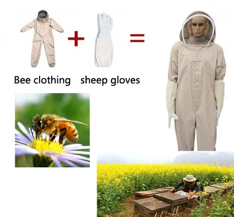 Unisex anti bee clothing Cotton Beekeeper Bee clothing bee caps +1pair sheepskin gloves Apiculture Costume ,white /grey color
Unisex anti bee clothing Cotton Beekeeper Bee clothing bee caps +1pair sheepskin gloves Apiculture Costume ,white /grey color