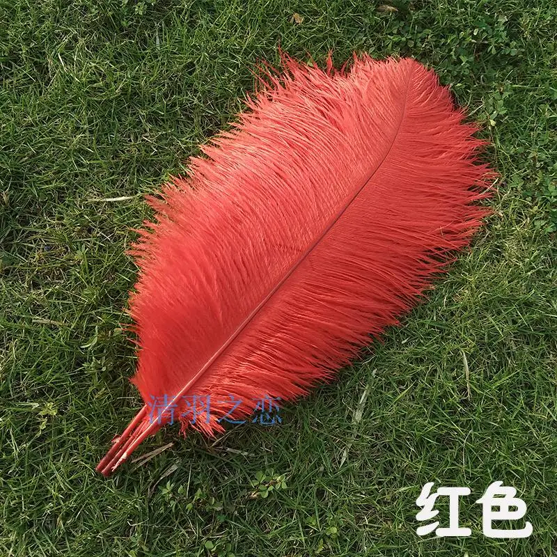 20pcs lot wholesale 11 colors Anniversary Birthday Engagement Bridal Wedding party decoration tree Ostrich feather photo props
20pcs lot wholesale 11 colors Anniversary Birthday Engagement Bridal Wedding party decoration tree Ostrich feather photo props