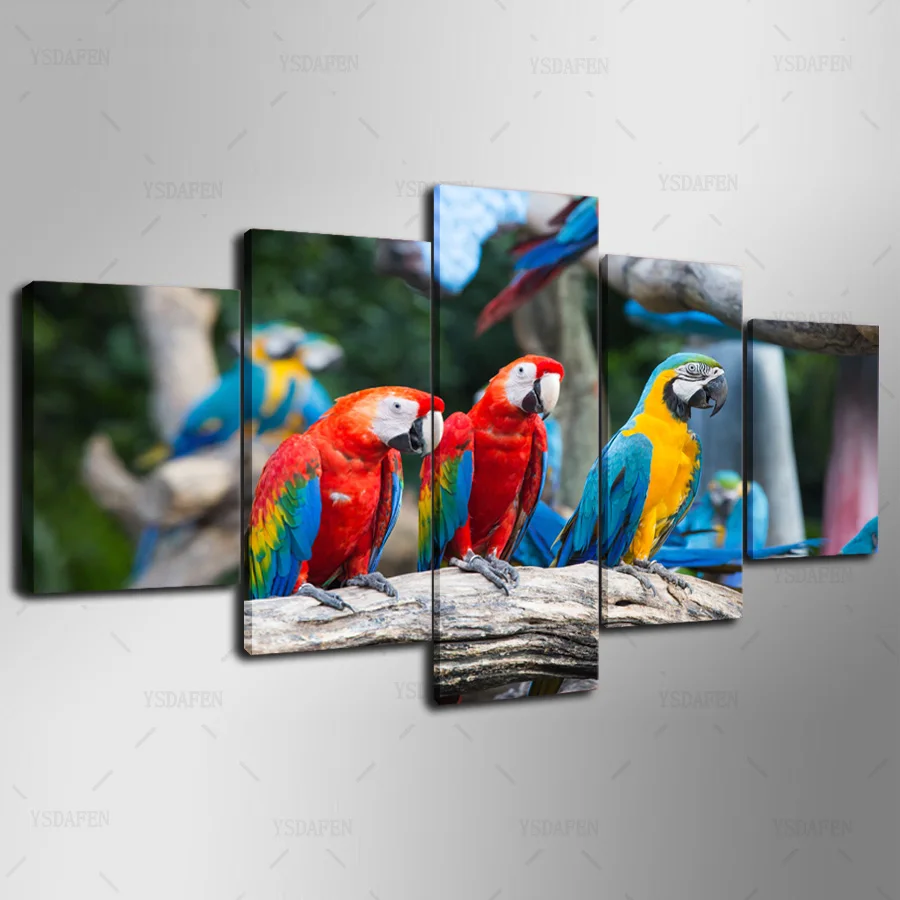 HD Printed Painting Canvas Printing Parrot painting Room decor print poster picture canvas Framed Art HG-145
HD Printed Painting Canvas Printing Parrot painting Room decor print poster picture canvas Framed Art HG-145