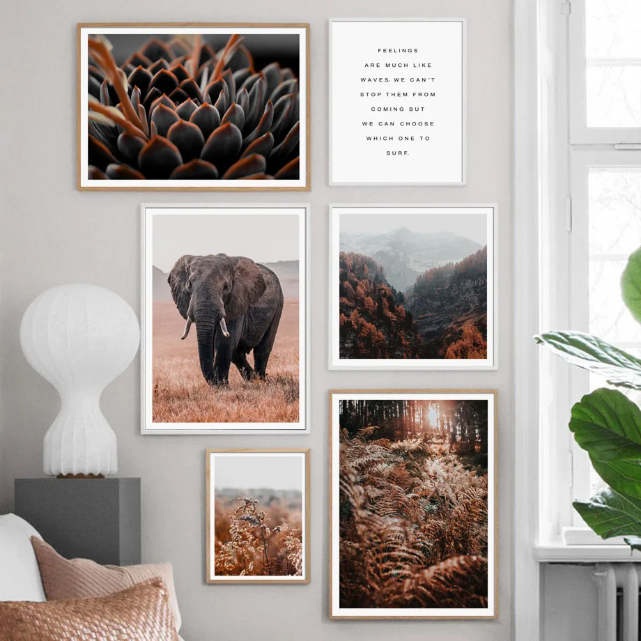Elephant Poplar Fern Leaf Succulent Plant Nordic Posters And Prints Wall Art Canvas Painting Wall Pictures For Living Room Decor
Elephant Poplar Fern Leaf Succulent Plant Nordic Posters And Prints Wall Art Canvas Painting Wall Pictures For Living Room Decor