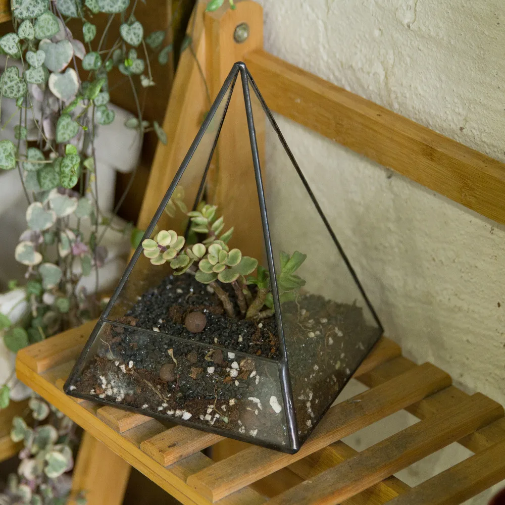 Gardening Modern Tabletop Glass Geometric Terrarium Succulent Plant Pot Pyramid Plants Planter Bonsai Flower Pot Decorative
Gardening Modern Tabletop Glass Geometric Terrarium Succulent Plant Pot Pyramid Plants Planter Bonsai Flower Pot Decorative