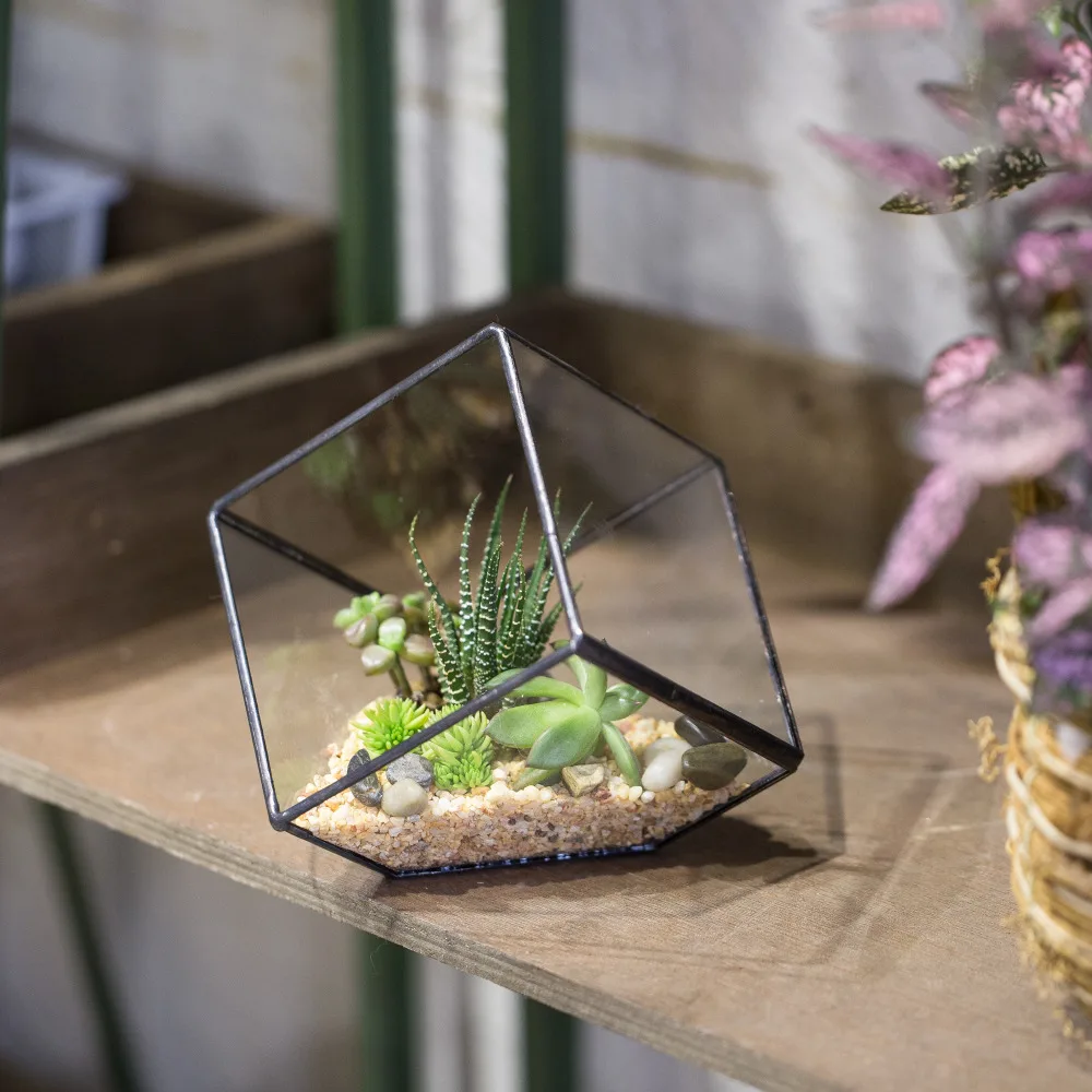 10cm Inclined Cube Vase Glass Geometric Terrarium Tabletop Flowerpot Garden Succulents Planter for Balcony Decorative Flower Pot
10cm Inclined Cube Vase Glass Geometric Terrarium Tabletop Flowerpot Garden Succulents Planter for Balcony Decorative Flower Pot