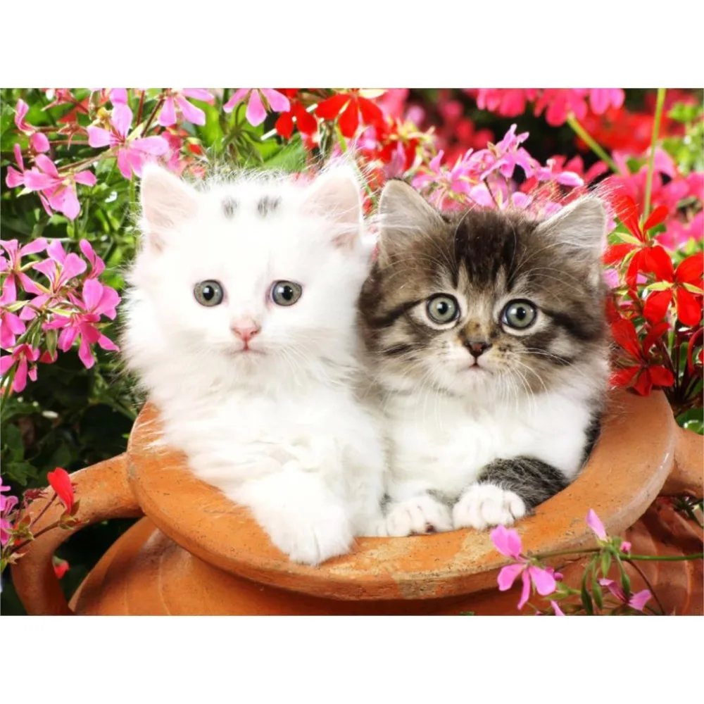 LaoJieYuan Cats & flower DIY Crystal full 5D plastic diamond painting cross stitch kit art 3Dmosaic square rhinestone
LaoJieYuan Cats & flower DIY Crystal full 5D plastic diamond painting cross stitch kit art 3Dmosaic square rhinestone