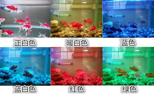 Switch patch 5050 mini LED diving light LED aquarium light small cylinder submersible light 10 cm - 29 CM
Switch patch 5050 mini LED diving light LED aquarium light small cylinder submersible light 10 cm - 29 CM