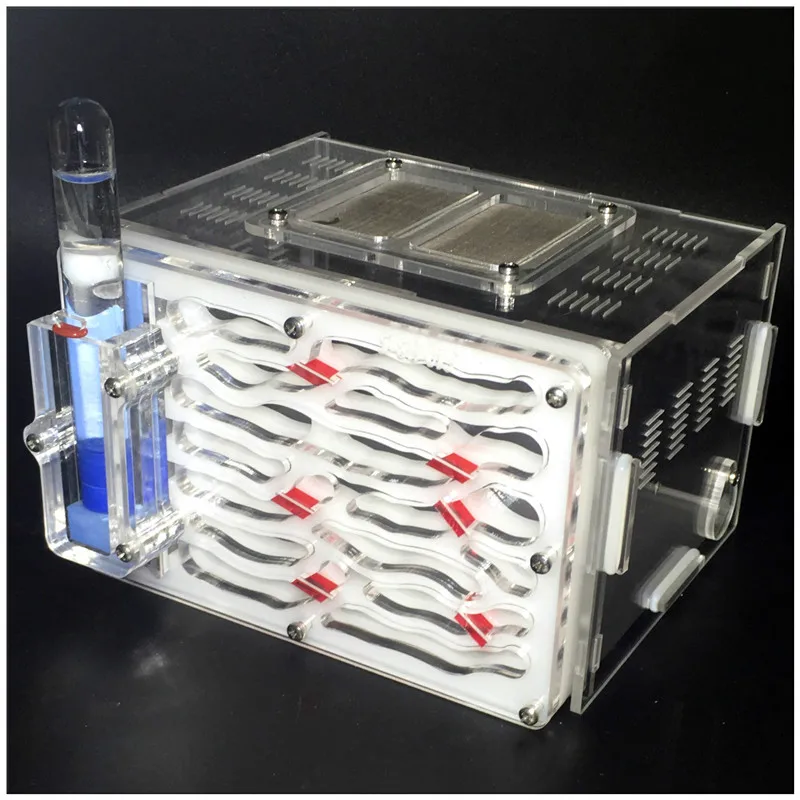 1PCS Acrylic Ant Nest Pets Living Ant Villa Castle Alternative Ant Workshop Bionic 1
1PCS Acrylic Ant Nest Pets Living Ant Villa Castle Alternative Ant Workshop Bionic 1