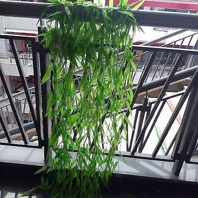 10Pcs 1.5m Fake Garland Hanging Artificial Slim Willow Plant Leaf wedding Party BBQ Decor
10Pcs 1.5m Fake Garland Hanging Artificial Slim Willow Plant Leaf wedding Party BBQ Decor