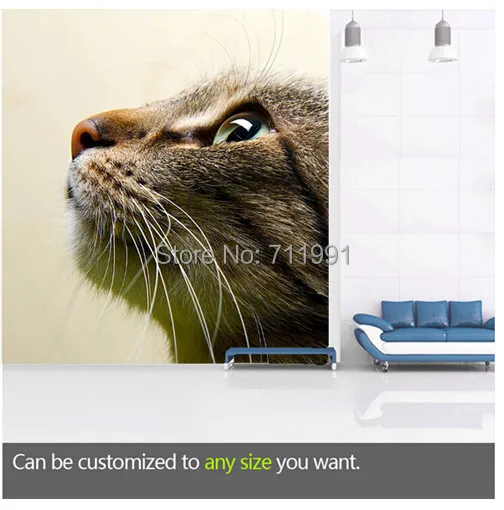 Free shipping custom large living room sofa bedroom wall mural wallpaper background of pet Cat
Free shipping custom large living room sofa bedroom wall mural wallpaper background of pet Cat