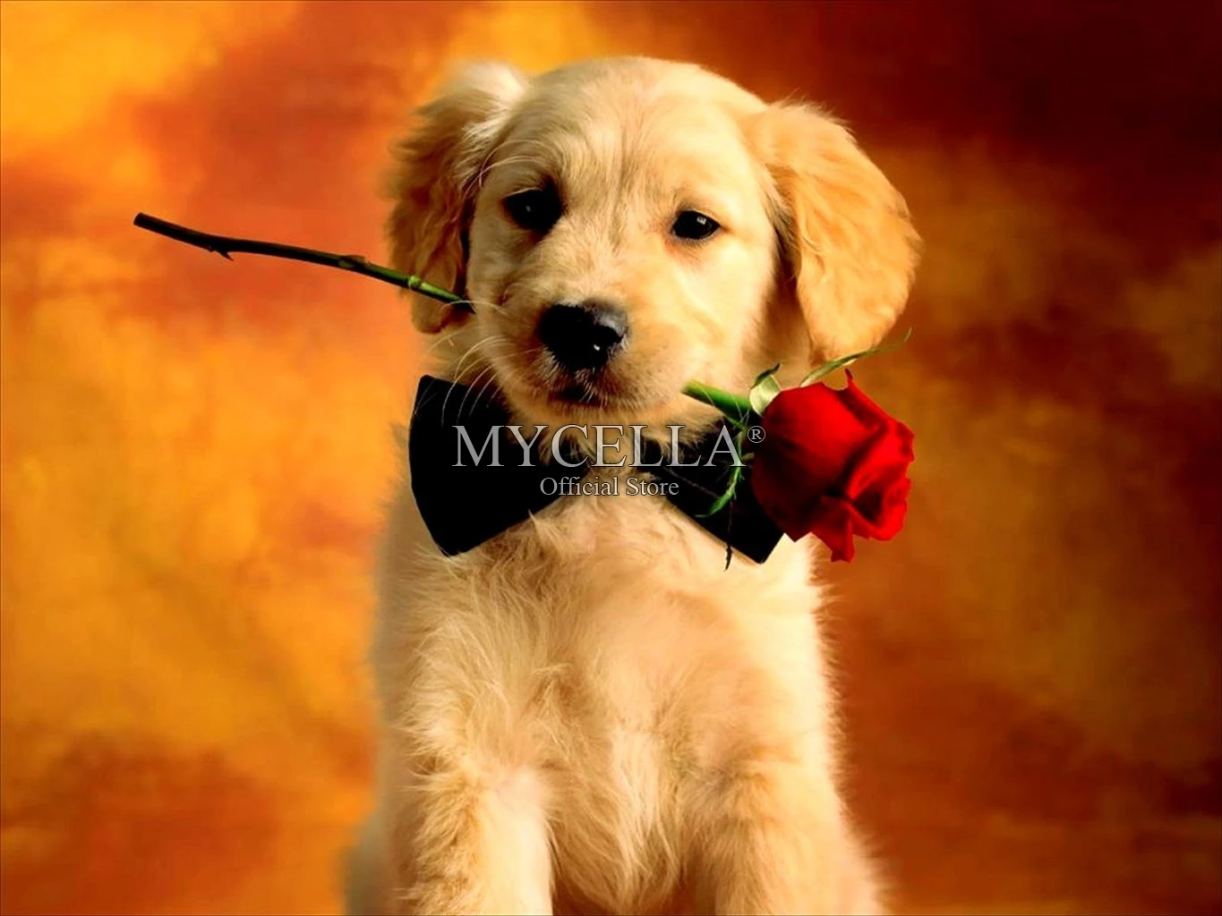 Rose Dog 5D DIY Diamond Painting Cross Stitch Animals Needlework Full Round Rhinestone Mosaic Diamond Embroidery Home Decor Gift
Rose Dog 5D DIY Diamond Painting Cross Stitch Animals Needlework Full Round Rhinestone Mosaic Diamond Embroidery Home Decor Gift